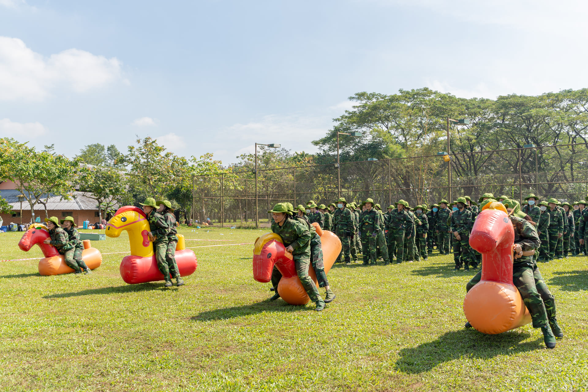 cho thuê ngựa phao teambuilding giá rẻ tại bảo lộc