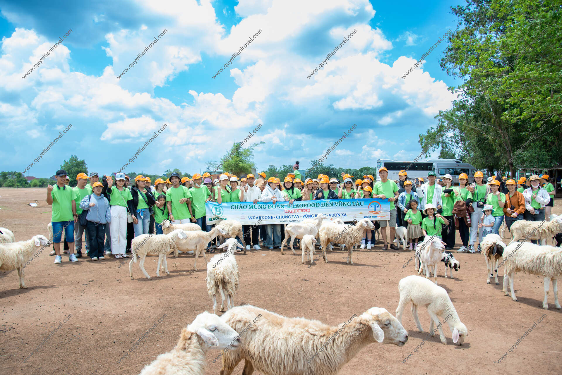 ĐỒI CỪU SUỐI NGHỆ