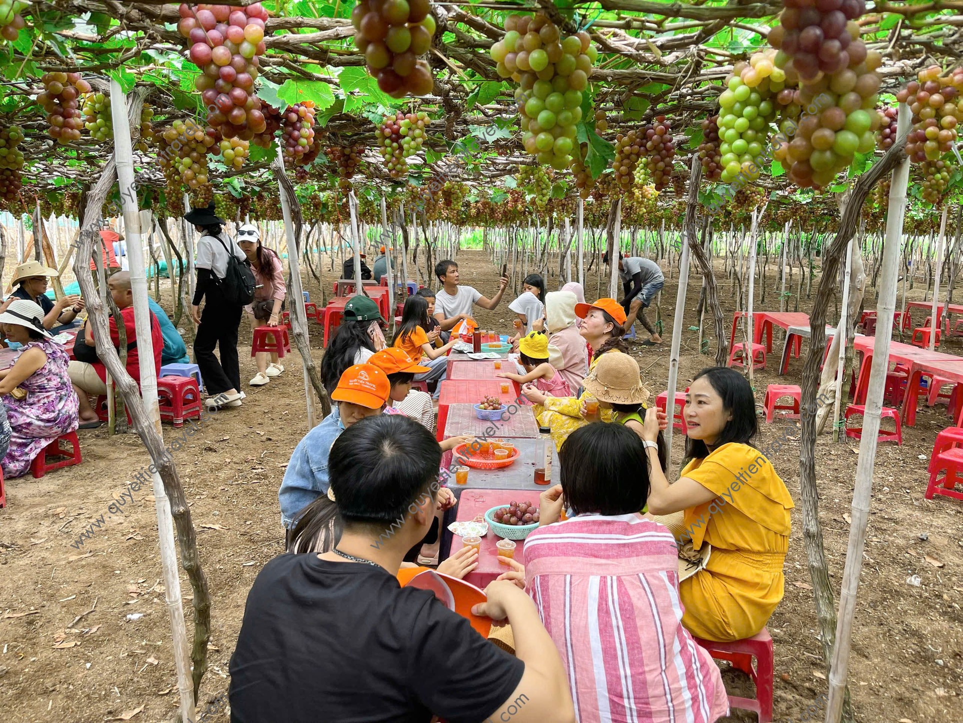 BV YHCT BẢO LỘC - TOUR DU LỊCH NINH CHỮ 2025 14 z6615924316845 87cf58f8b289e2db6e2654868c57a210