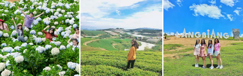 TOUR Đà Lạt | Vùng Đất Cổ Tích Fairytale Land 5 Đà Lạt | Vùng Đất Cổ Tích Fairytale Land