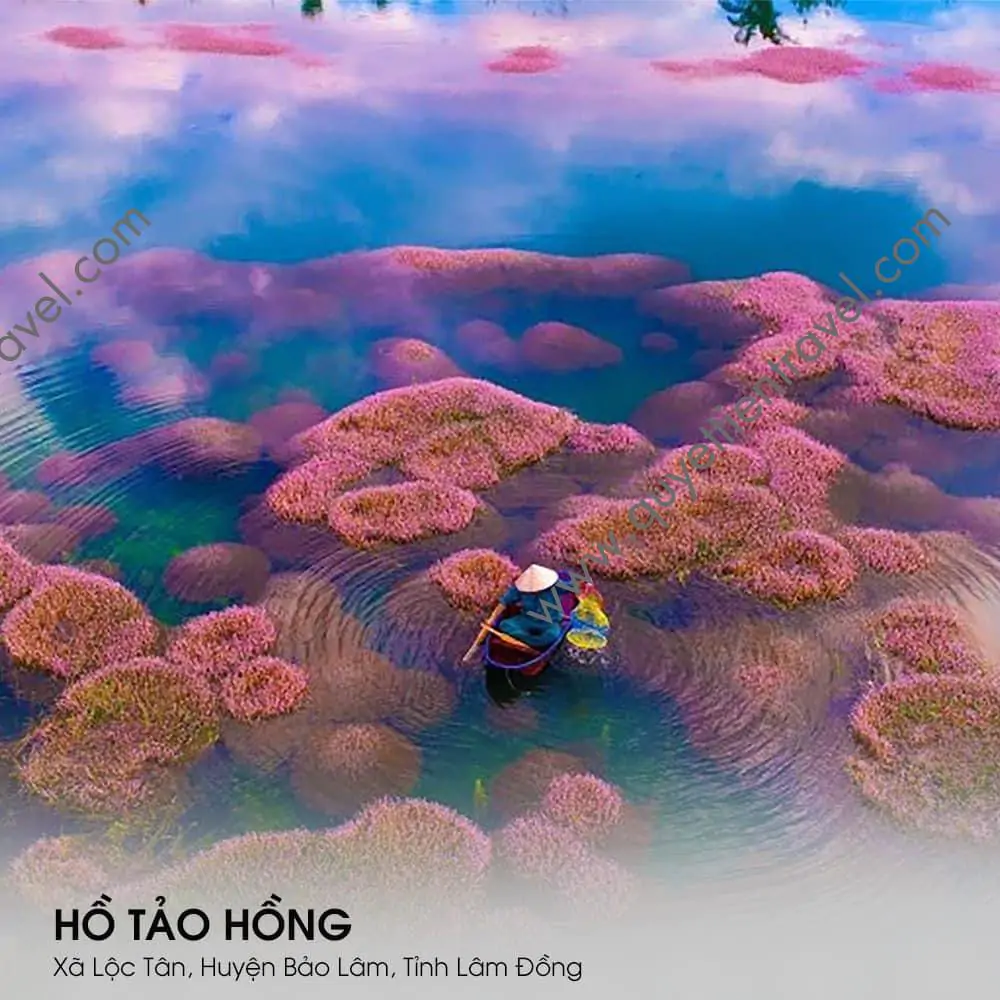 TOP 10 ĐIỂM THAM QUAN BẢO LỘC 6 Hồ Tảo Hồng Bảo Lộc