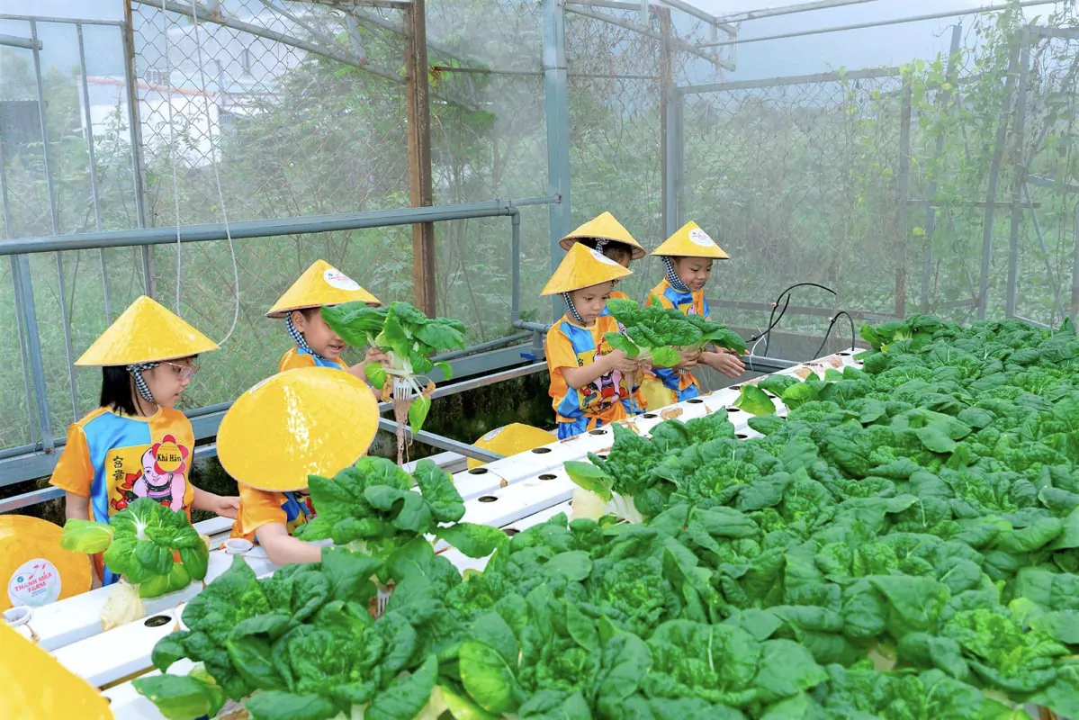 tour hoc sinh trai nghiem nong trai rau oganic farm