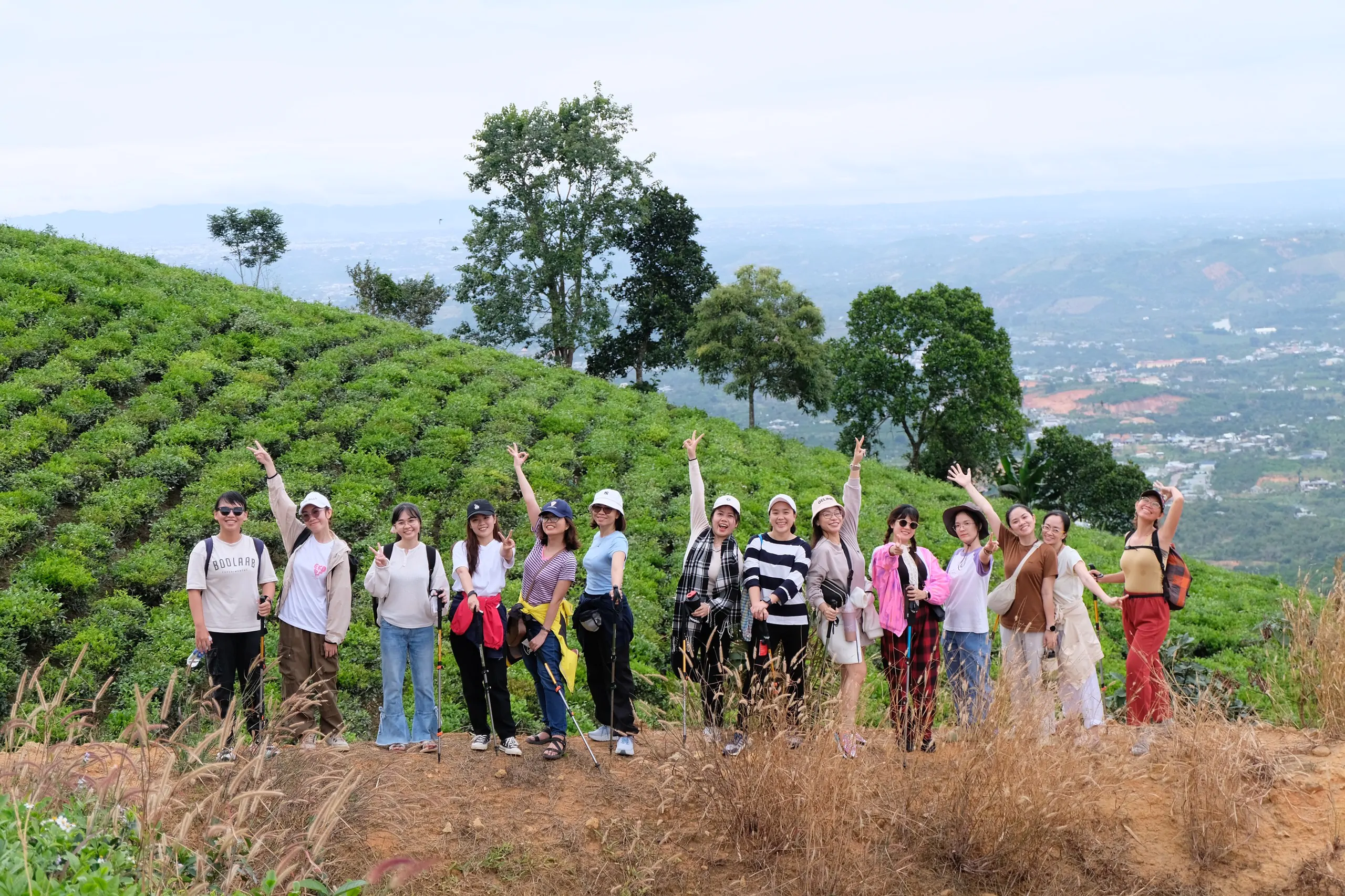 tour trekking đồi chè Bảo Lộc